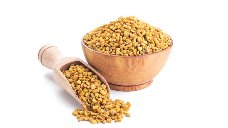 ত্বকের যত্নে মেথি