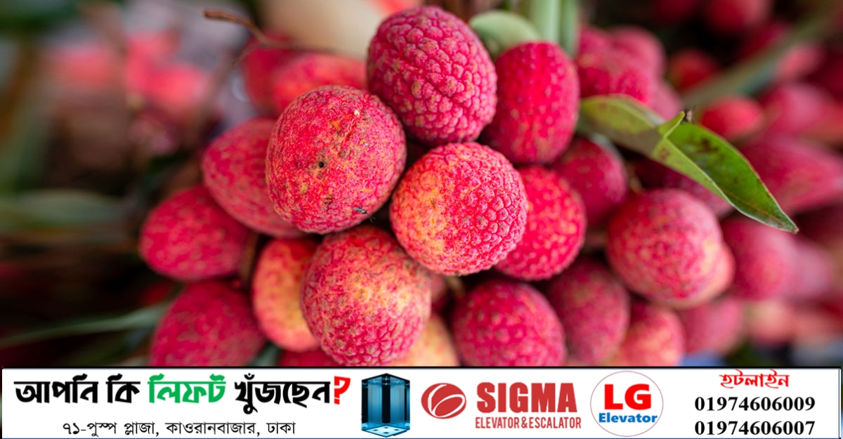 লিচু খাওয়ার উপকারিতা