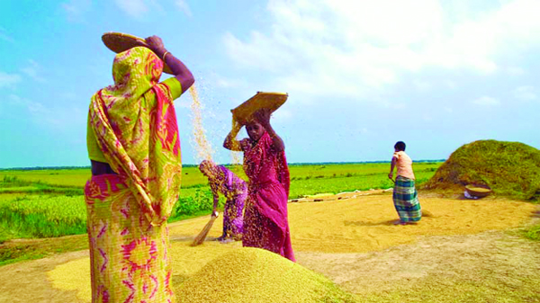 সহিংসতার বেল্টে ক্ষত, রুদ্ধ ব্যবসা: প্রগতির ওপর আদর্শিক চাপ