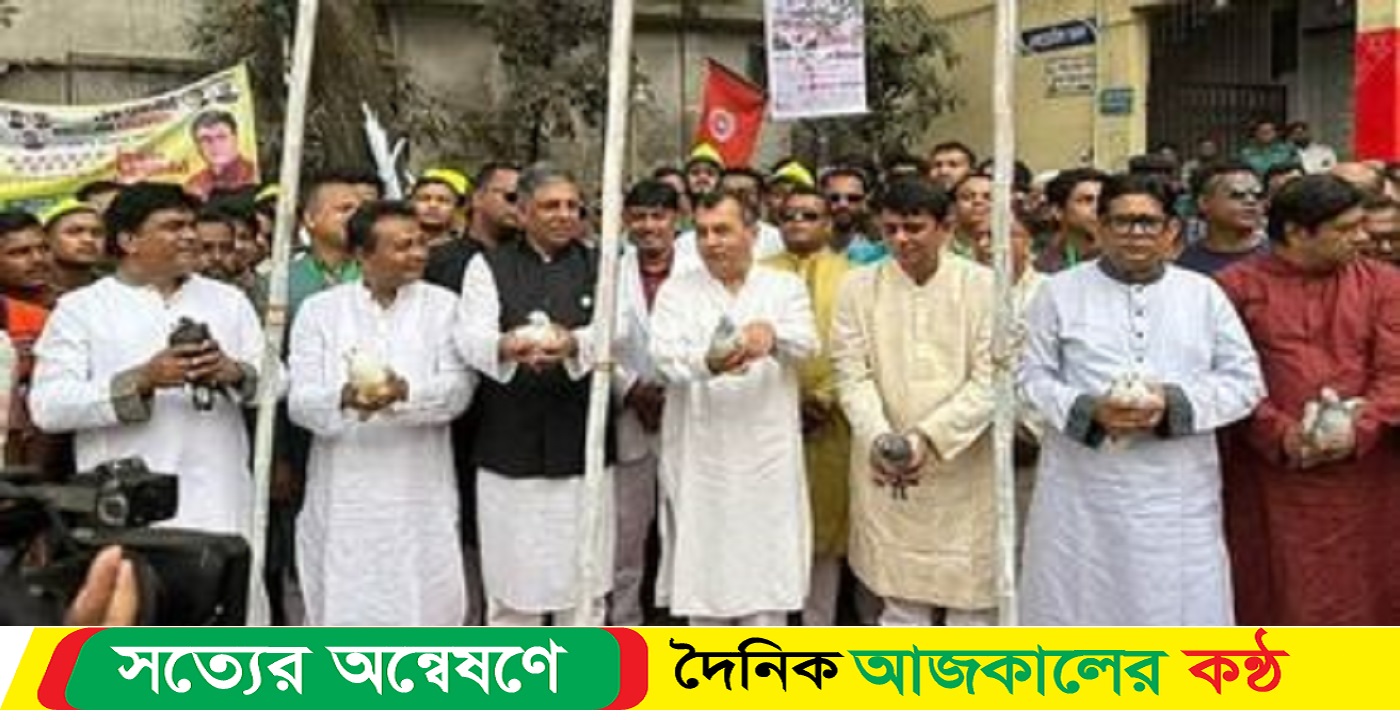 মহানগর দক্ষিণ স্বেচ্ছাসেবক লীগের অন্তর্গত কিছু ওয়ার্ডের ত্রি-বার্ষিক সম্মেলন