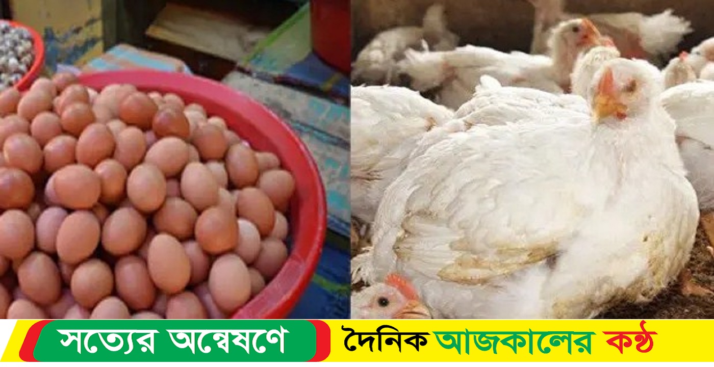 সিলেটে প্রতিদিন বাড়ছে ডিম ও মুরগির দাম