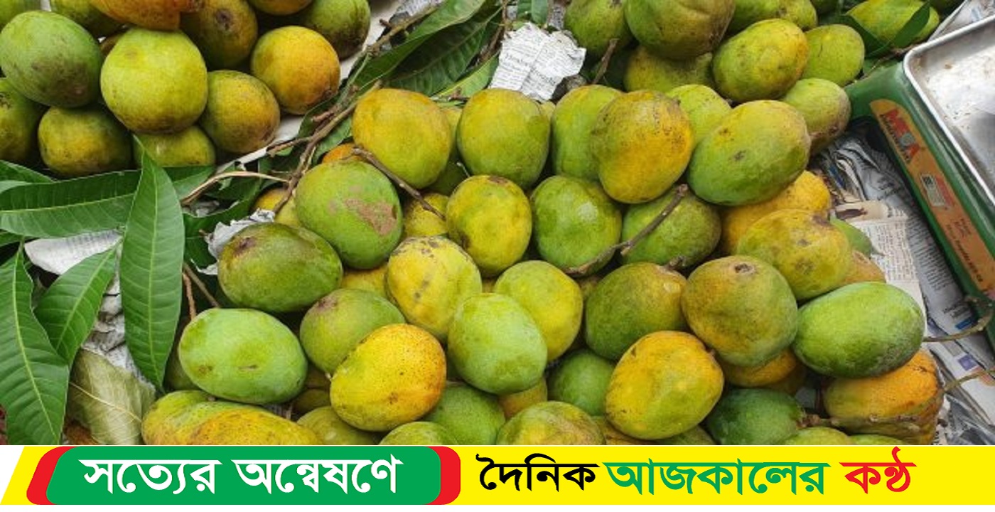 রাসায়নিকমুক্ত আম চেনার সহজ উপায়
