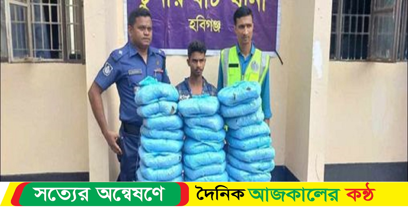 চুনারুঘাটে ২৬ কেজি গাঁজা সহ গ্রেপ্তার ১