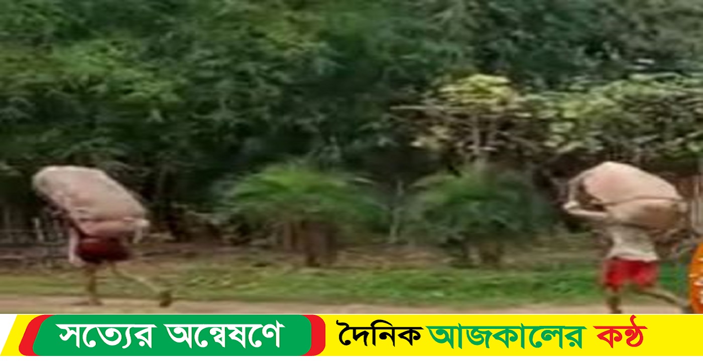 সিলেটের সীমান্ত পথে প্রতিদিন বাংলাদেশে আসছে ভারতীয় চিনি