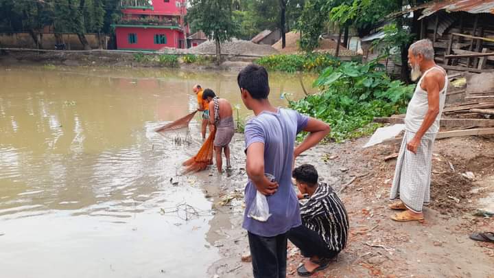 ঝালকাঠির রাজাপুরে নদীতে বিষ দিয়ে দেশী প্রজাতির মাছ নিধন
