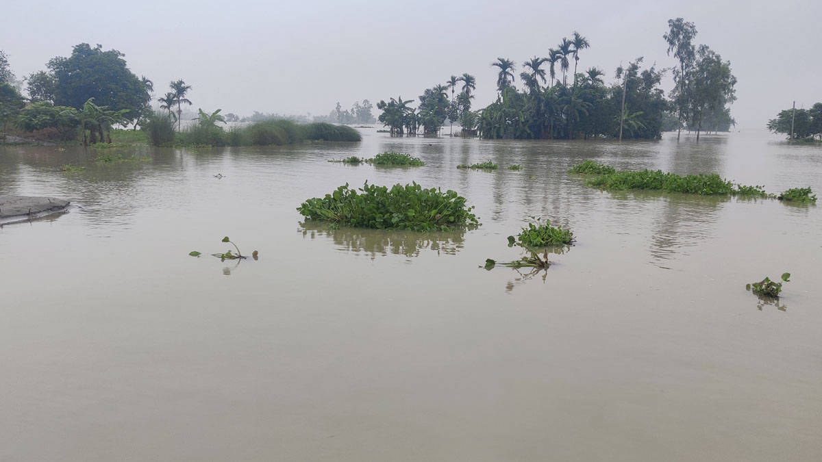 কমেছে তিস্তার পানি, কমেনি দুর্ভোগ