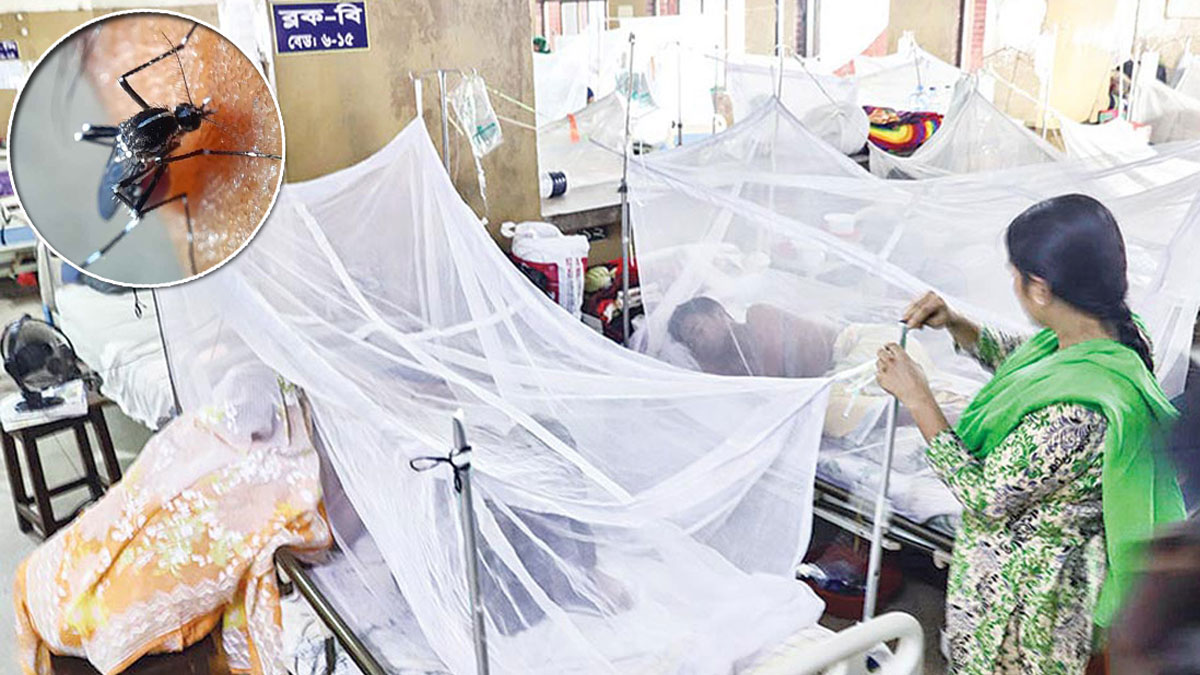 ডেঙ্গুতে মৃত্যু ৯০০ ছাড়াল, হাসপাতালে ৩০০৮
