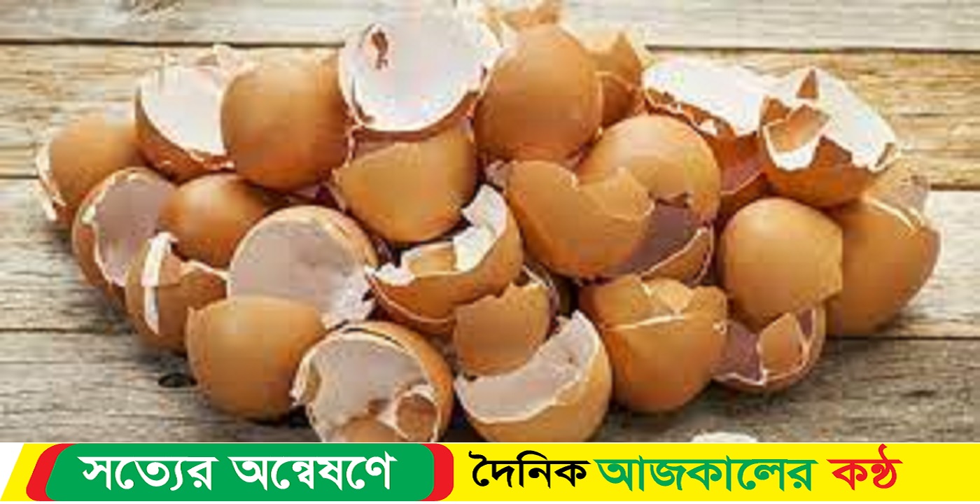 ডিমের খোসাতেই ঘর ছাড়বে