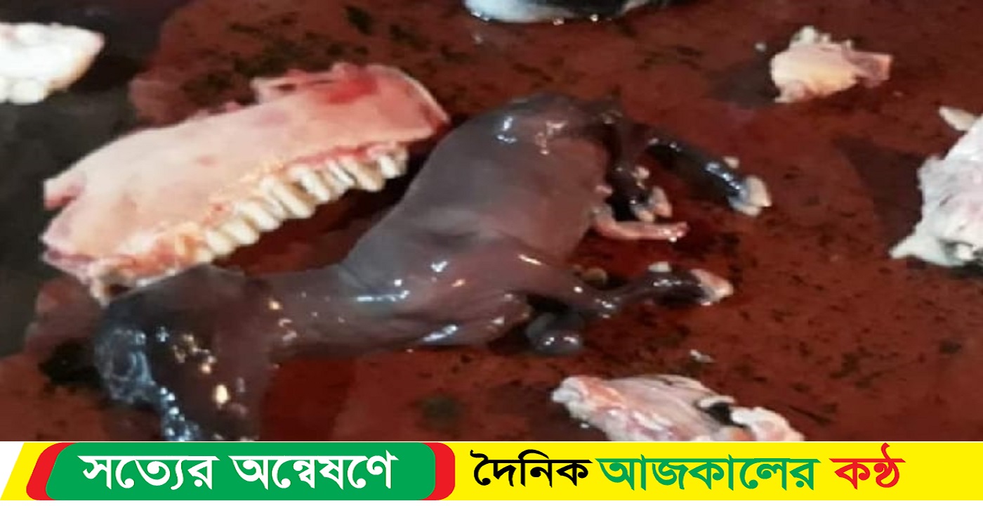 কালিয়াকৈরে গর্ভবতী ছাগলের মাংস বিক্রি