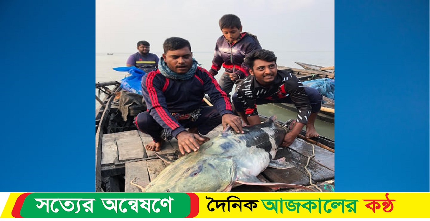 ৫৪ কেজির বাগাড় ধরা পড়ল, কত টাকায় বিক্রি