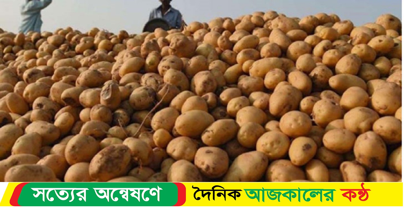 খবরেই কমেছে আলুর দাম