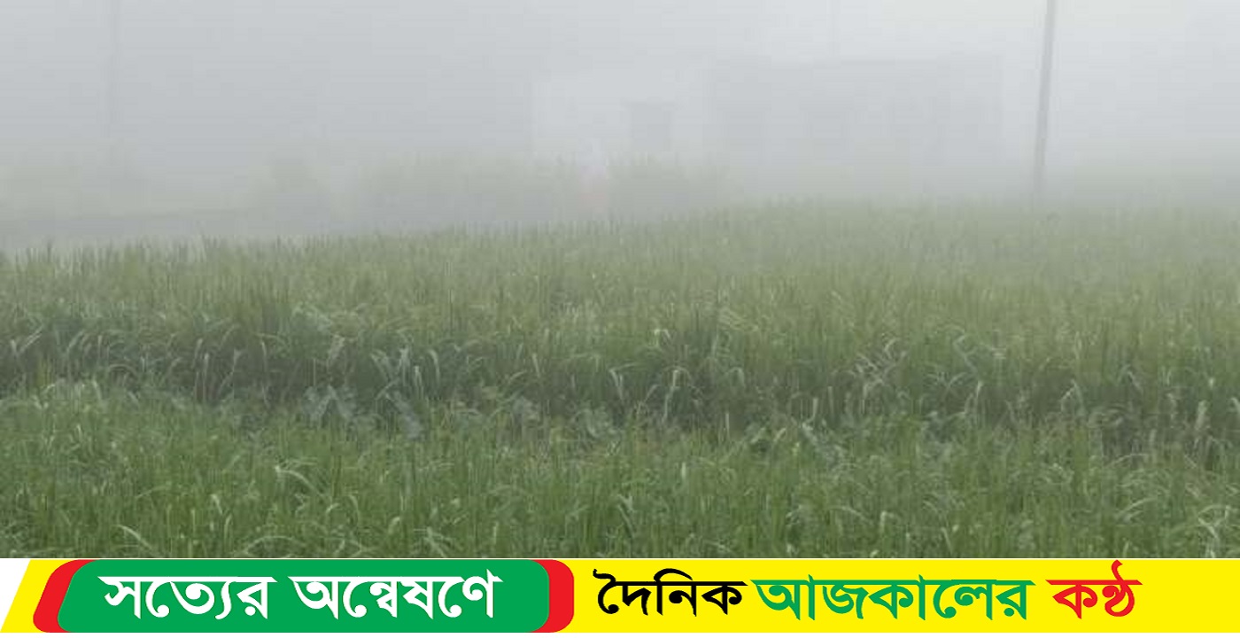 হেমন্তের শুরুতে হাতছানি দিচ্ছে শীতের আগমন