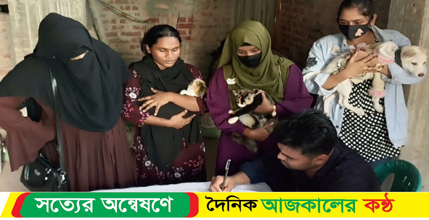 দেখা মিলল দেশি বিদেশি বিড়ালের ভ্যাকসিন ক্যাম্পে