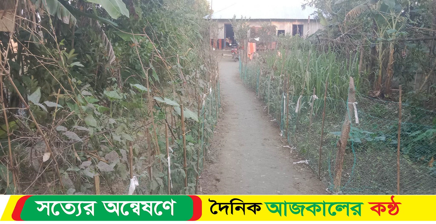 বাড়ির আঙিনায় তাসলিমার সবজি চাষ