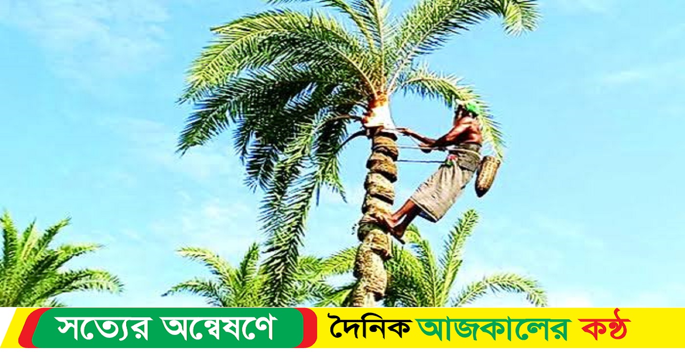 মোরেলগঞ্জে খেজুর গুড়ের ব্যাপক চাহিদা থাকলেও কমছে গাছ ও গাছিদের সংখ্যা