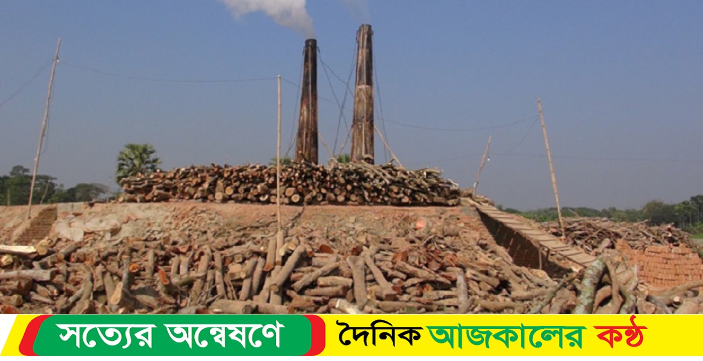 ইটভাটায় জ্বলছে বনের কাঠ, ধ্বংস হচ্ছে পরিবেশ