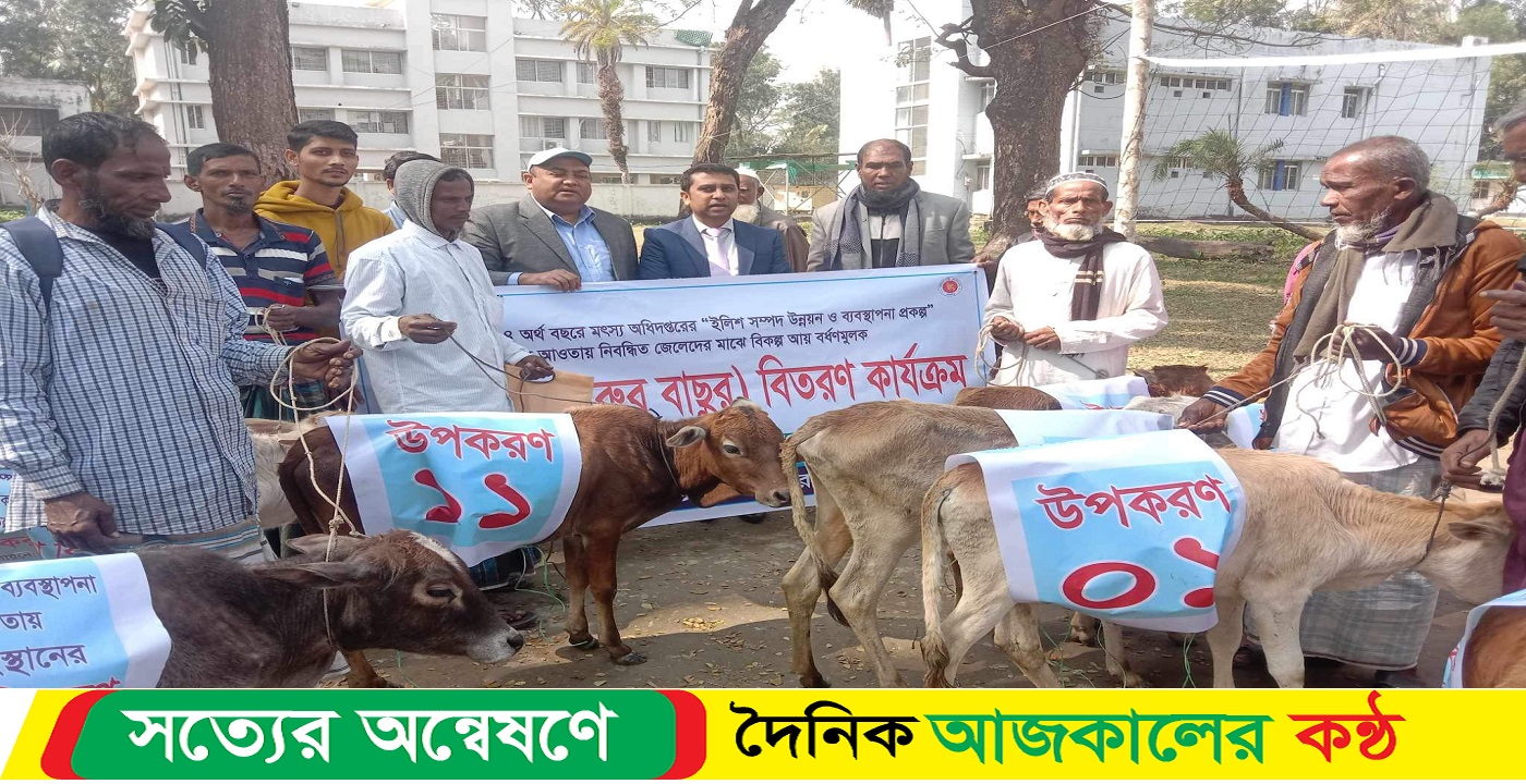 বাকেরগঞ্জে মৎস্য অভিযান ও জেলেদের বিকল্প কর্মসংস্থানের জন্য বাছুর বিতরণ