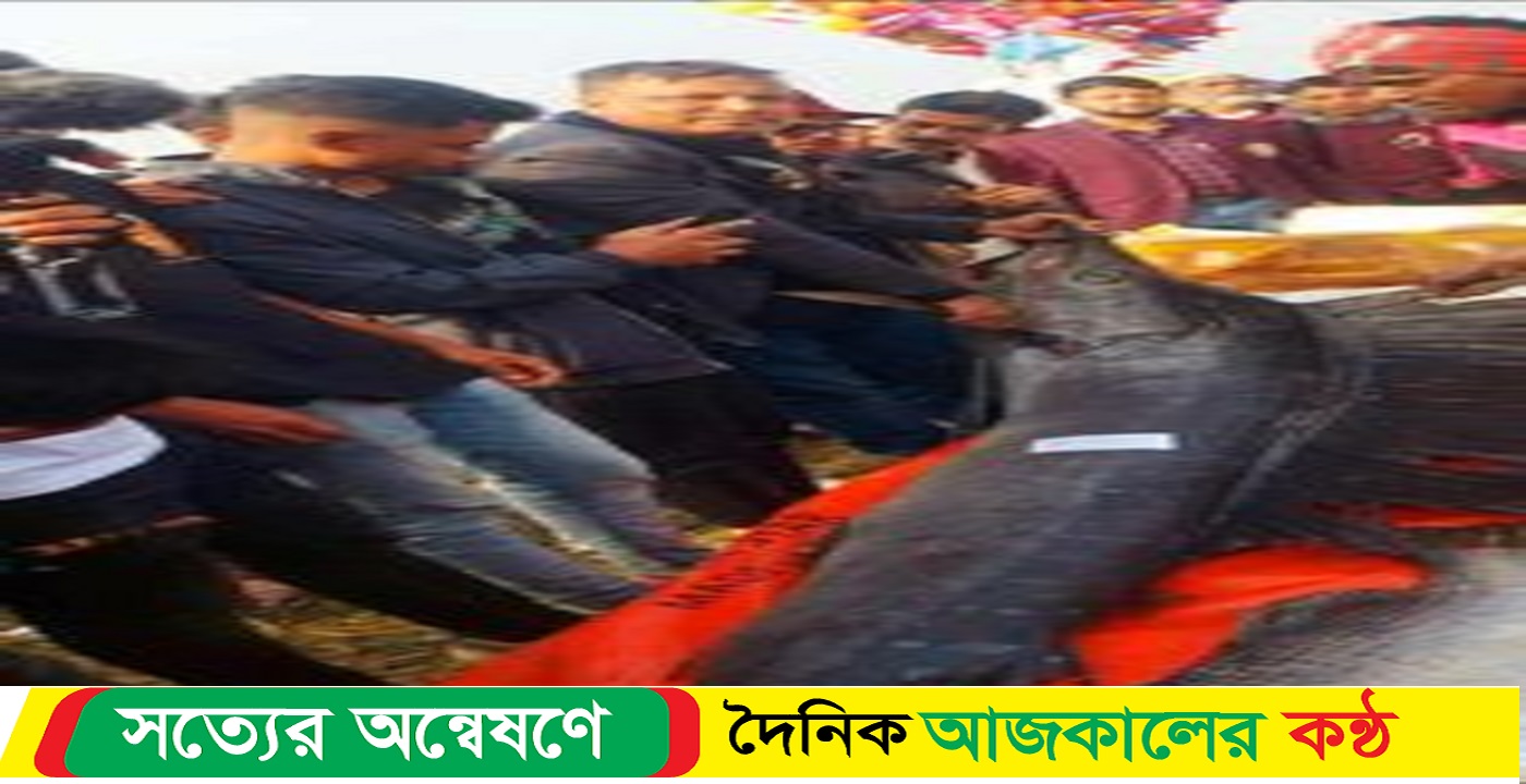 ঐতিহ্যেবাহী জামাইদের মাছের মেলা ও মিলনস্থল