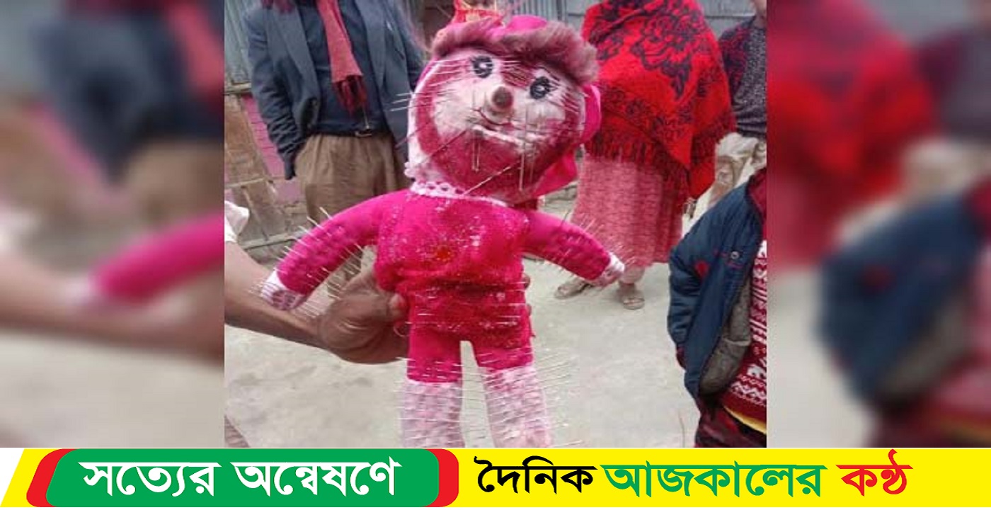 পুতুলের গায়ে ১০১টি সুই