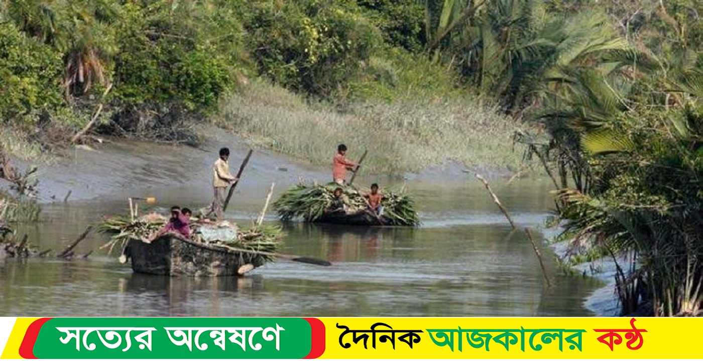 সুন্দরবনে গোলপাতা সংগ্রহ বাওয়ালীদের যাত্রা