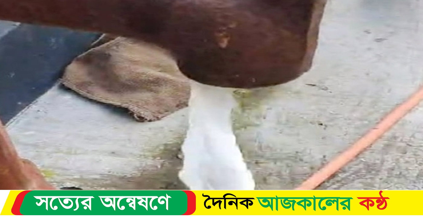 বরিশালে গবীর রাতে নলকূপে বিষ প্রয়োগ, পনির জন্য ভোগান্তিতে ৮টি পরিবার