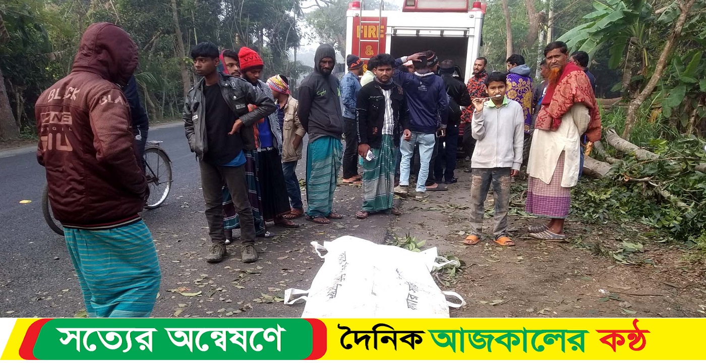 বাগেরহাটে পৃথক সড়ক দুর্ঘটনায় নিহত ২, আহত-২