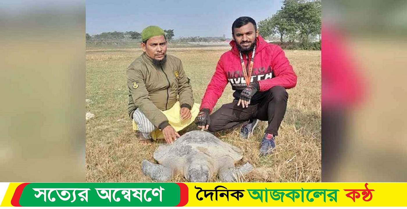 ৮০ কেজি ওজনের একটি কচ্ছপ উদ্ধার