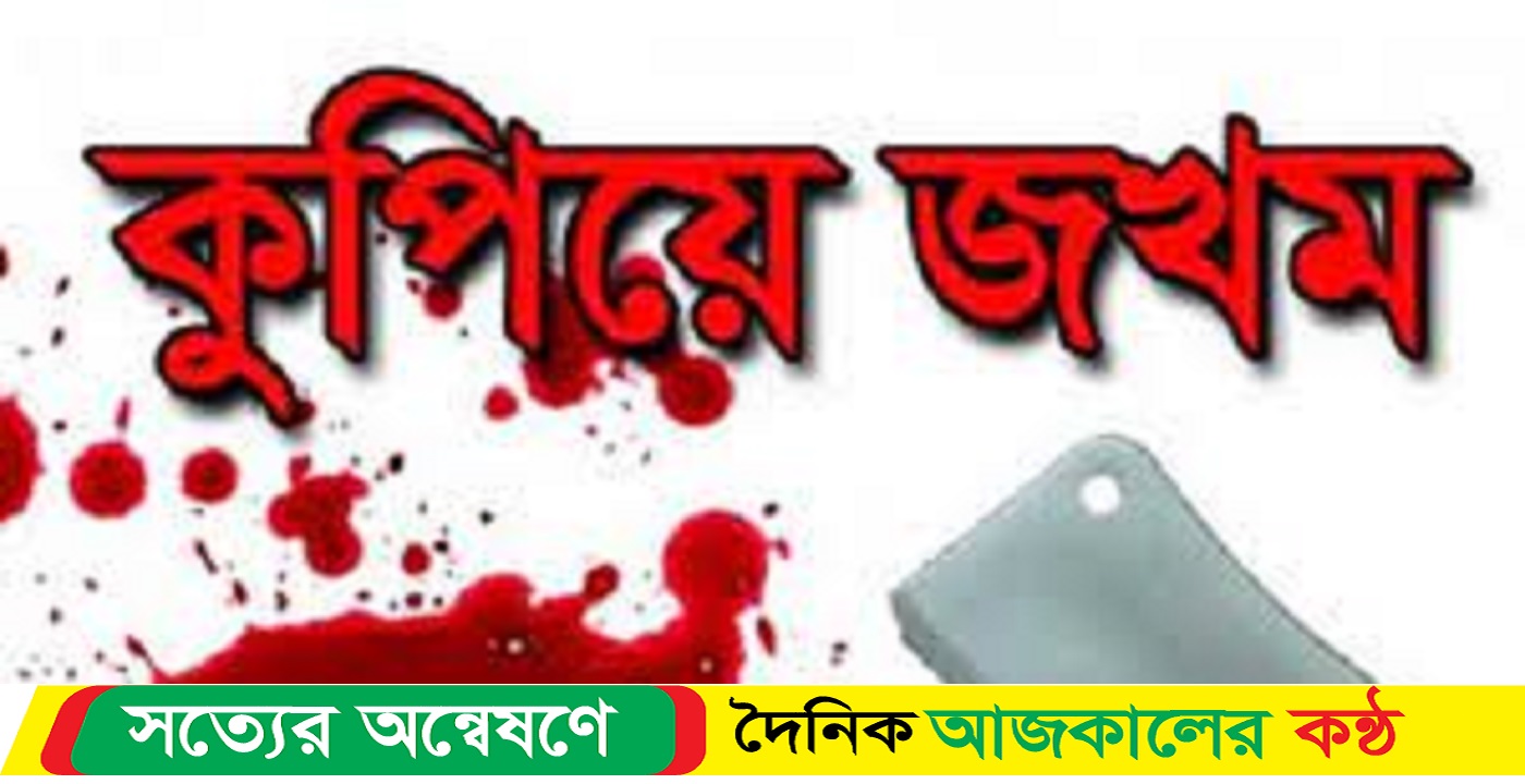 নৌকার ৭ কর্মীকে কুপিয়ে জখম