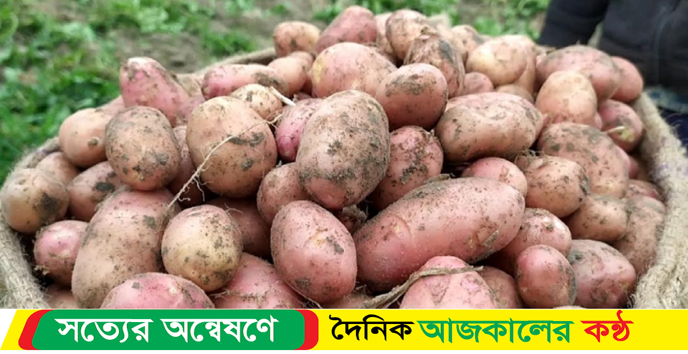 আলুর দাম যে কারণে আকাশছোঁয়া