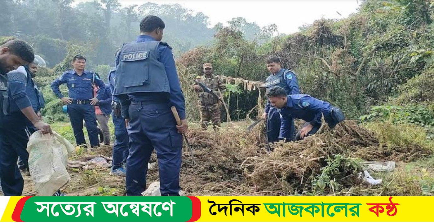 দশ কোটি টাকার গাঁজা ধ্বংস