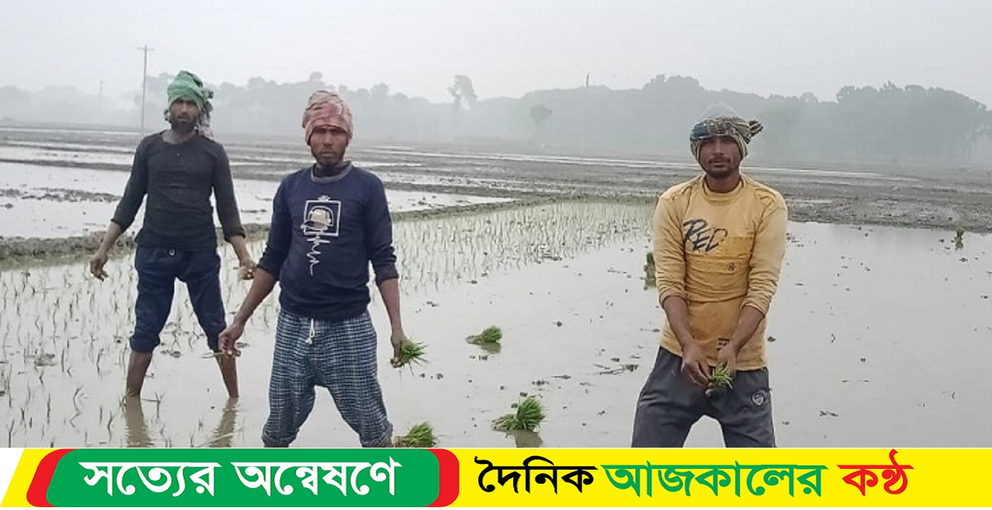 তীব্র শীতেও ইরি-বোরো চাষে ব্যস্ত কৃষকরা