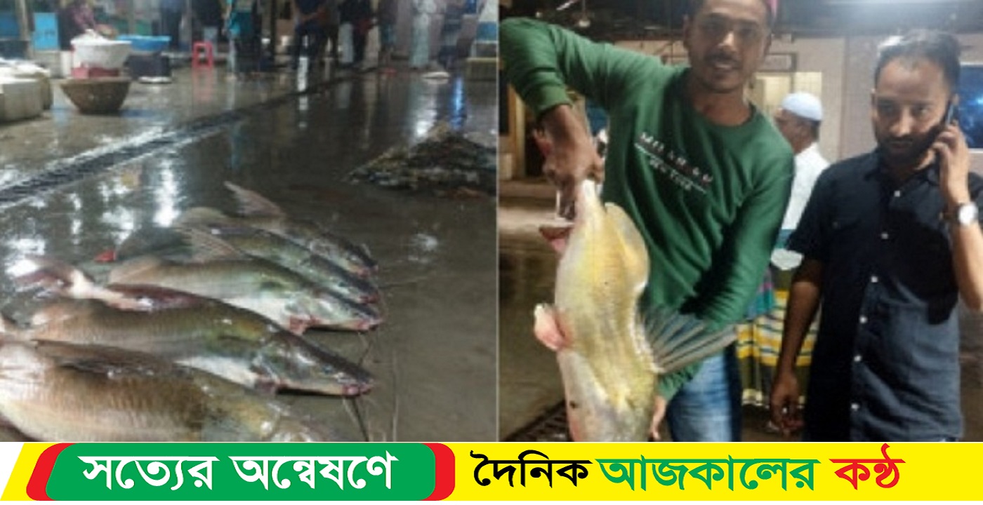 জালে ধরা পড়ল বড় আকারের ২১ আইড়