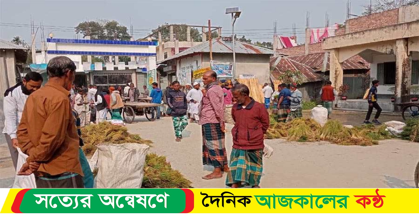 গৌরনীতে জমে উঠেছে ধারেনর চারা বিক্রির হাট