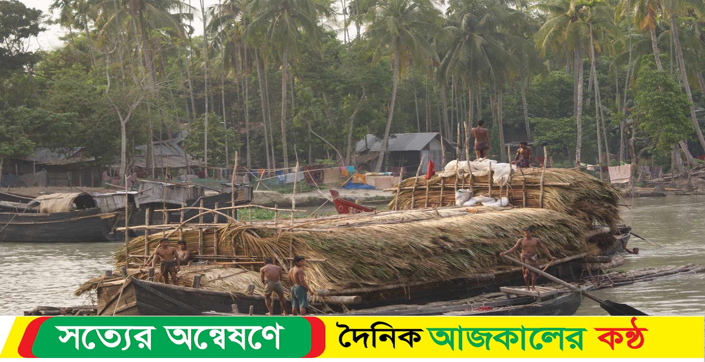 কাল শুরু হচ্ছে সুন্দরবনে গোলপাতা আহরণ মৌসুম