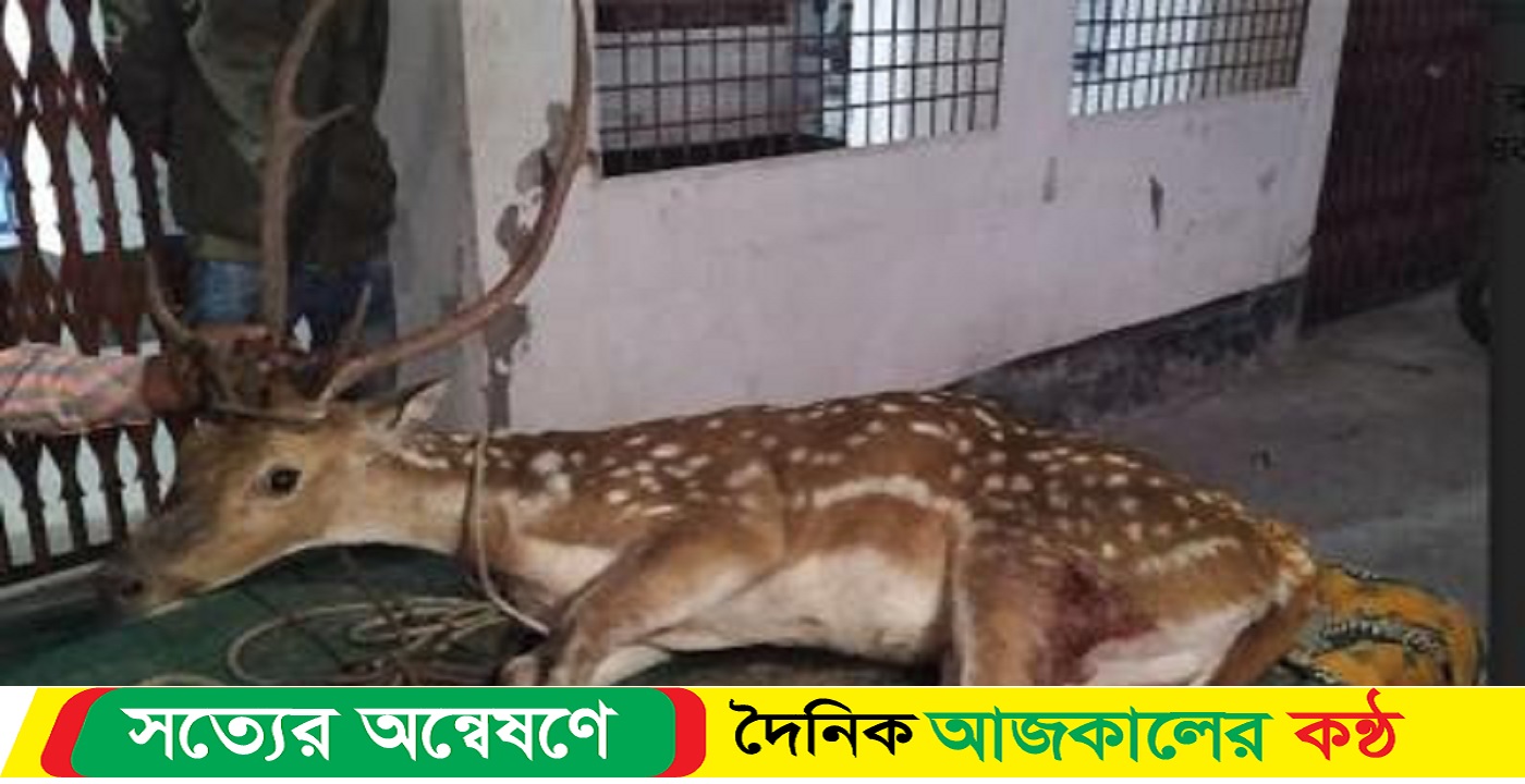 বিষখালি নদী থেকে হরিণ উদ্ধার