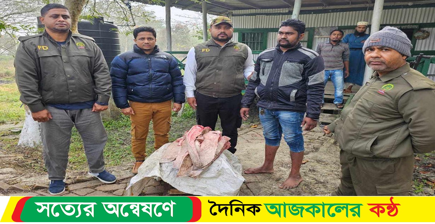 মাইকিং করে নিষিদ্ধ শাপলাপাতা মাছ বিক্রি, মাছ ব্যবসায়ি আটক