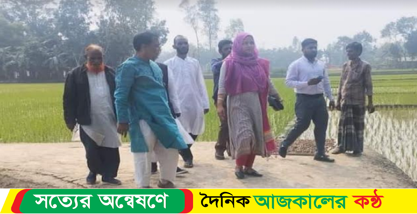 উন্নয়নমূলক কাজ পরিদর্শনে ইউএনও