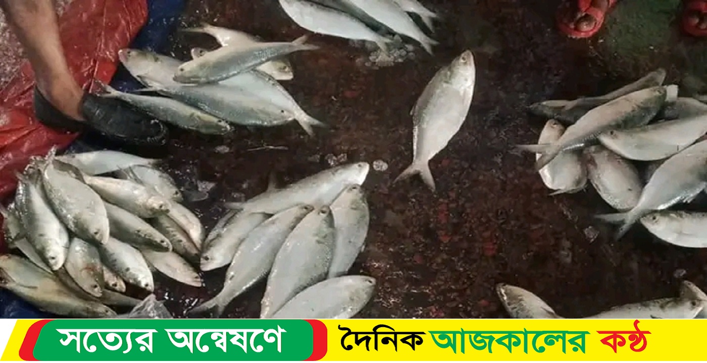 মাছ অতিরিক্ত ঠান্ডায় আহরণ কমায় বিক্রি হচ্ছে চড়া দামে