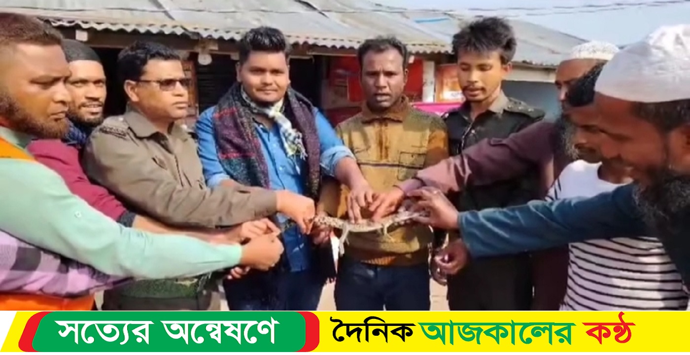 মাছ ধরার জালে উঠে এল কুমিরের বাচ্চা