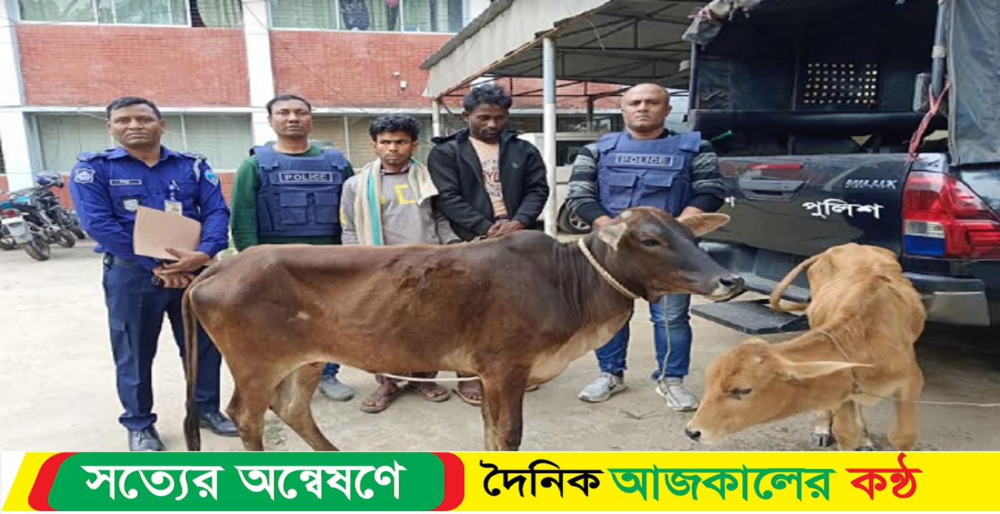 পটিয়ায় গরুসহ চোর চক্রের দুই সদস্য আটক পুলিশের হাতে