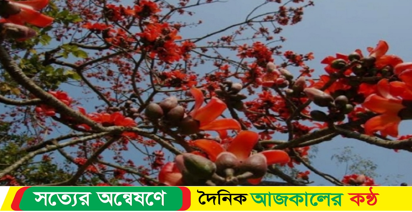 আজ ঋতুরাজ বসন্ত; ভালোবাসা দিবসে, প্রকৃতি সেজেছে বাসন্তী রঙে
