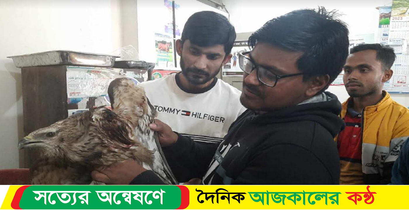 আহত পাখি নিয়ে হাসপাতালে চার পাখি প্রেমী