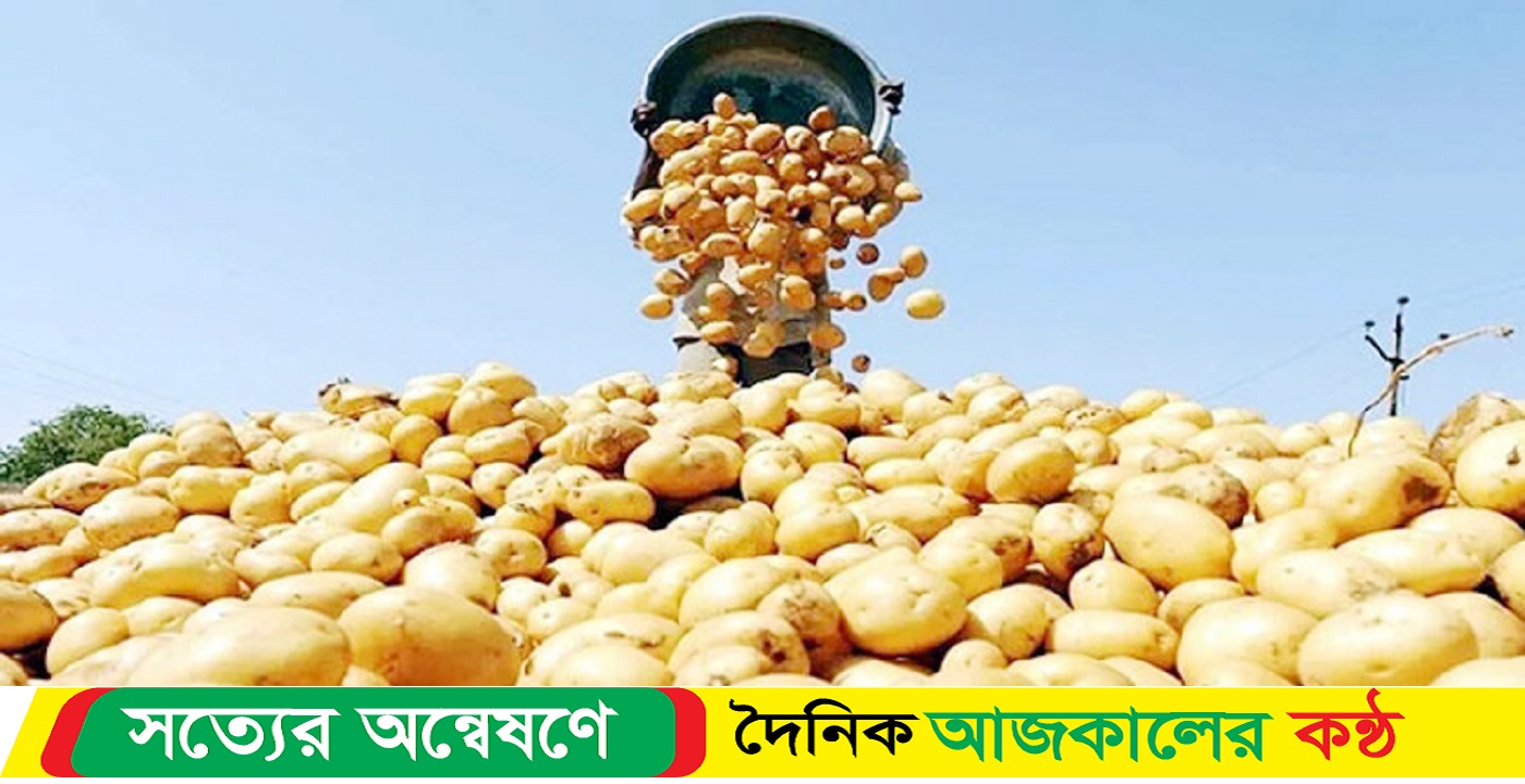 বাজারে কমলো আলুর দাম
