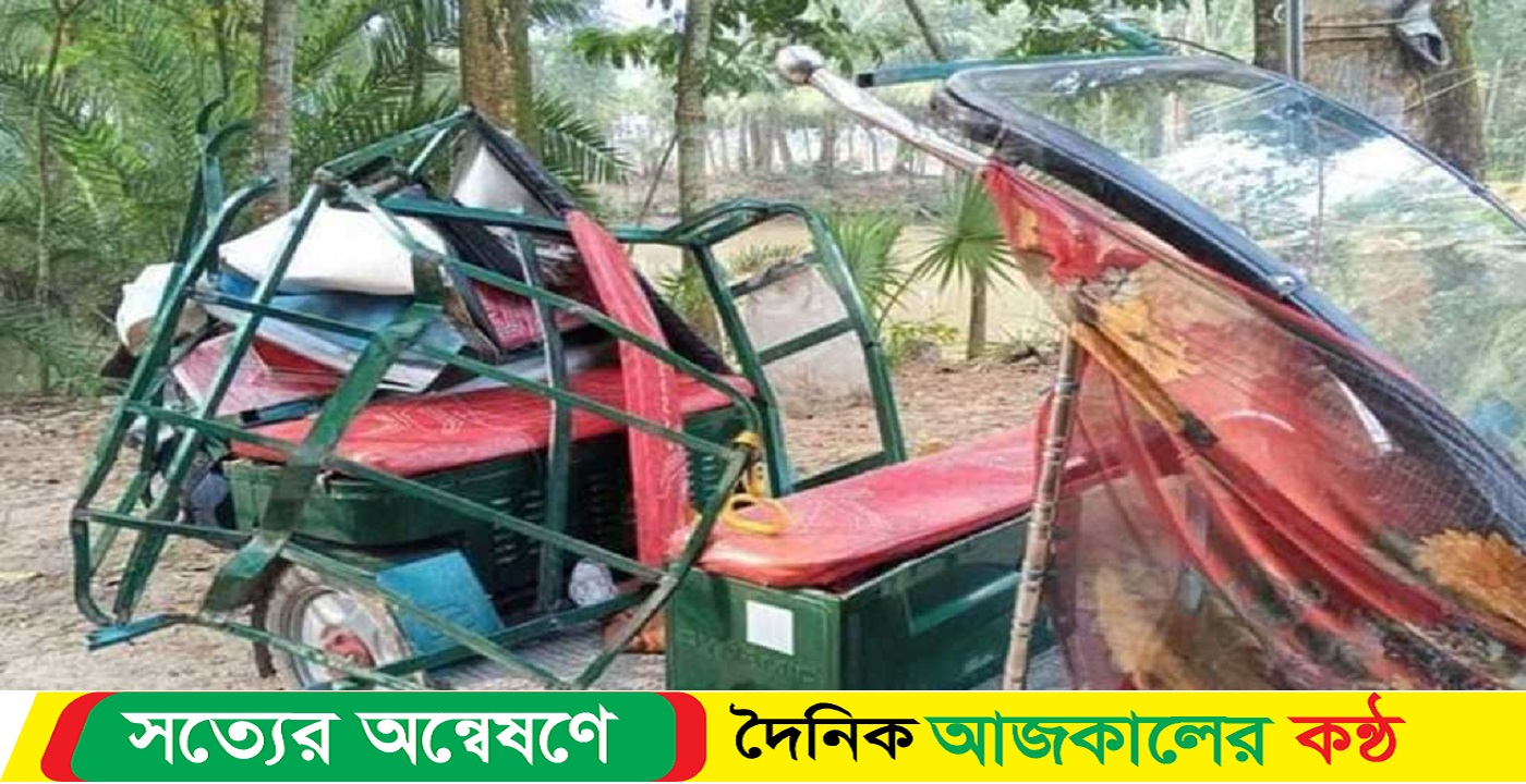 ভাইয়ের সঙ্গে দেখা করতে যাওয়ার পথে বোনের মৃত্যু