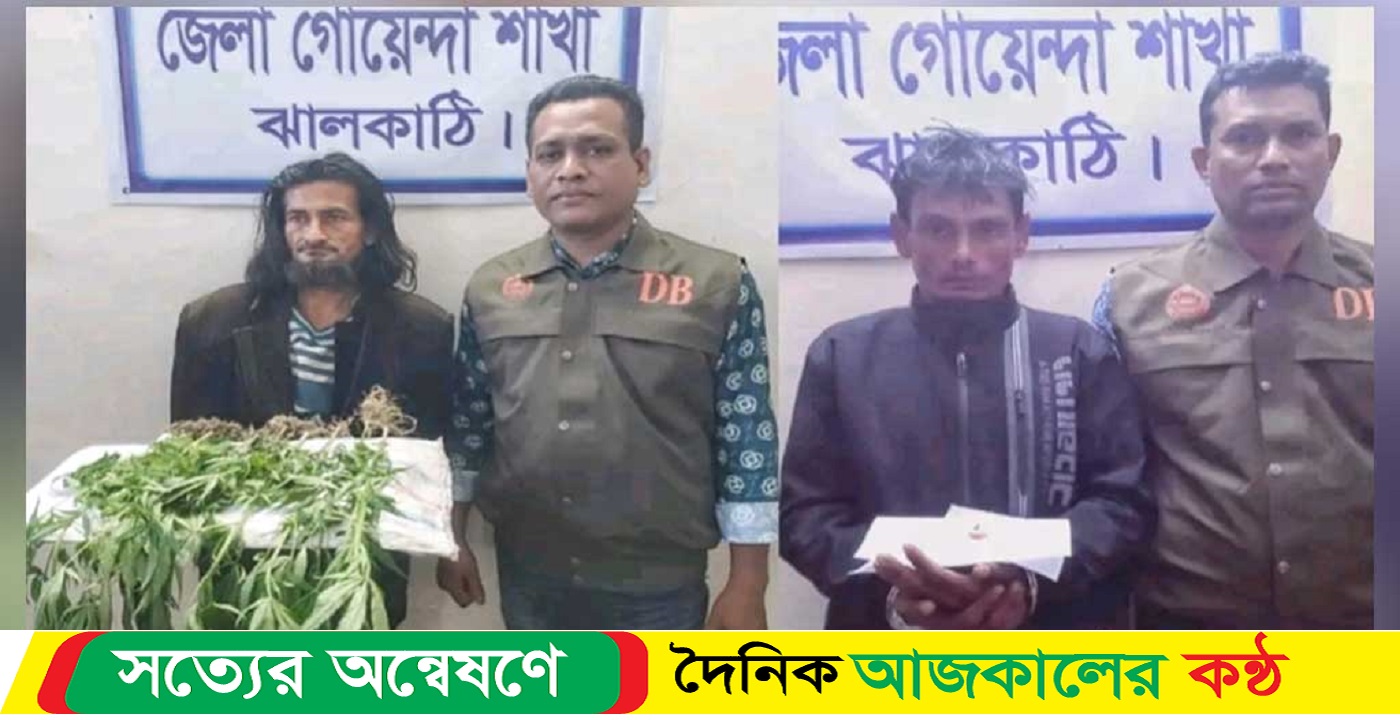 ঝালকাঠিতে গাঁজাগাছ-ইয়াবাসহ আটক ২
