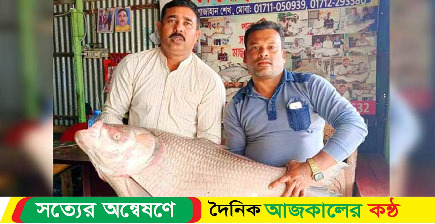 বিক্রি হলো ২৬ কেজি ওজনের কাতল