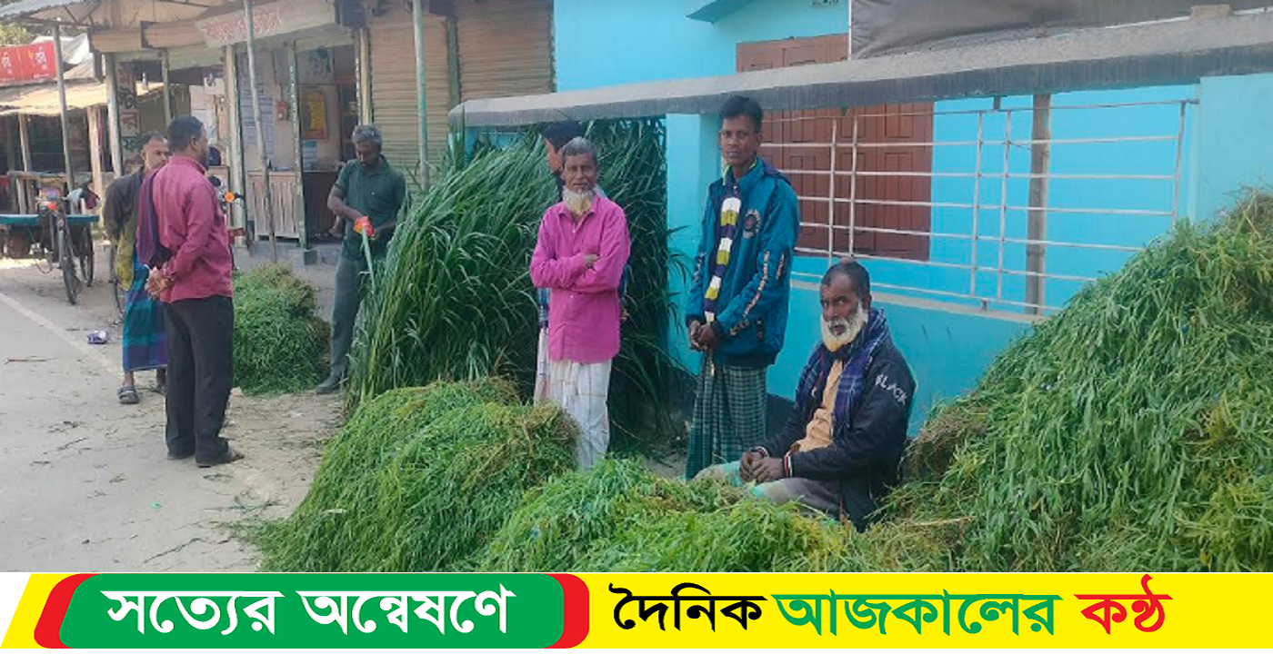 ঘাস বিক্রি করেই চলছে ৪ জনের সংসার