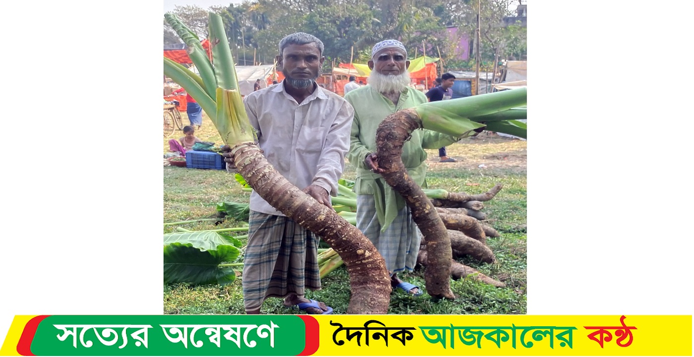 ঐতিহ্যবাহী বারুণী মেলায় মানকচুর কদর