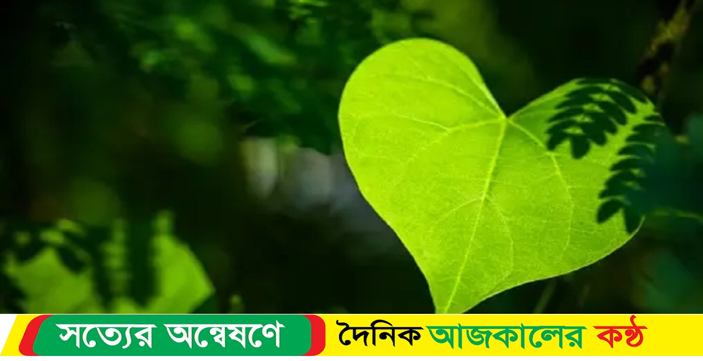 বাঙালি মনের ভালোবাসাও পায় নতুন রূপ