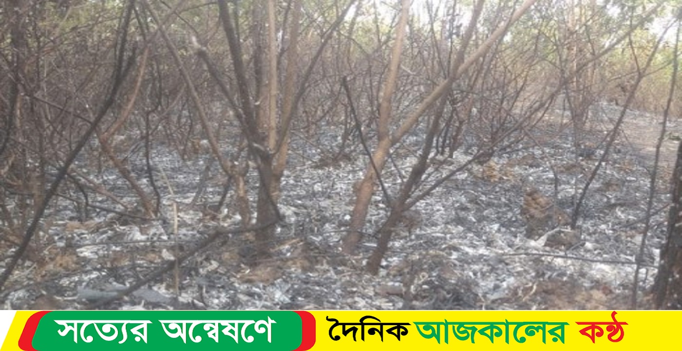 সিলেটের শাবির টিলায় আগুন